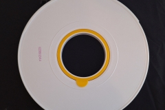 Epoch-480-back