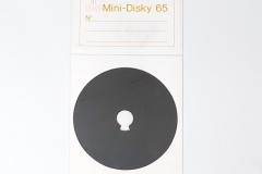 Mini-Disky